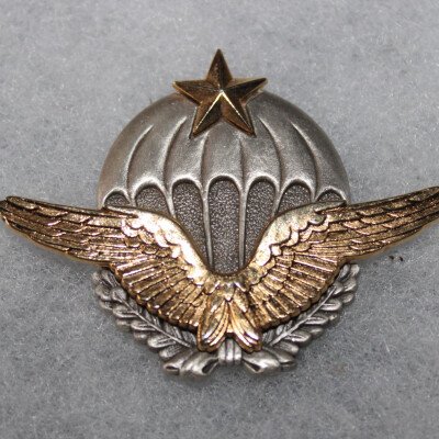 Brevet parachutiste armée de l'air