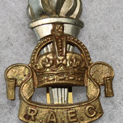 Cap badge RAEC