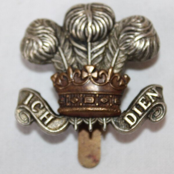 Cap badge Royal Wiltshire Yeomanry