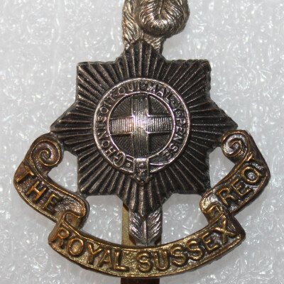 Cap badge royal sussex